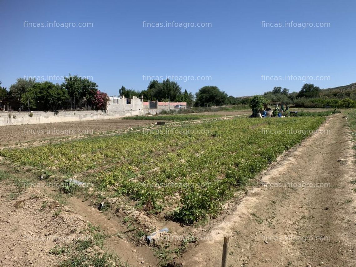 Fotos de Vendo huerta vega de la reina con pozo y luz