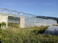 Fotos de Se vende invernadero ulma, 720 m2 en provincia de león.