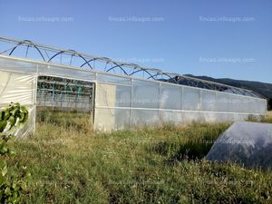 Se vende invernadero ulma, 720 m2 en provincia de león.