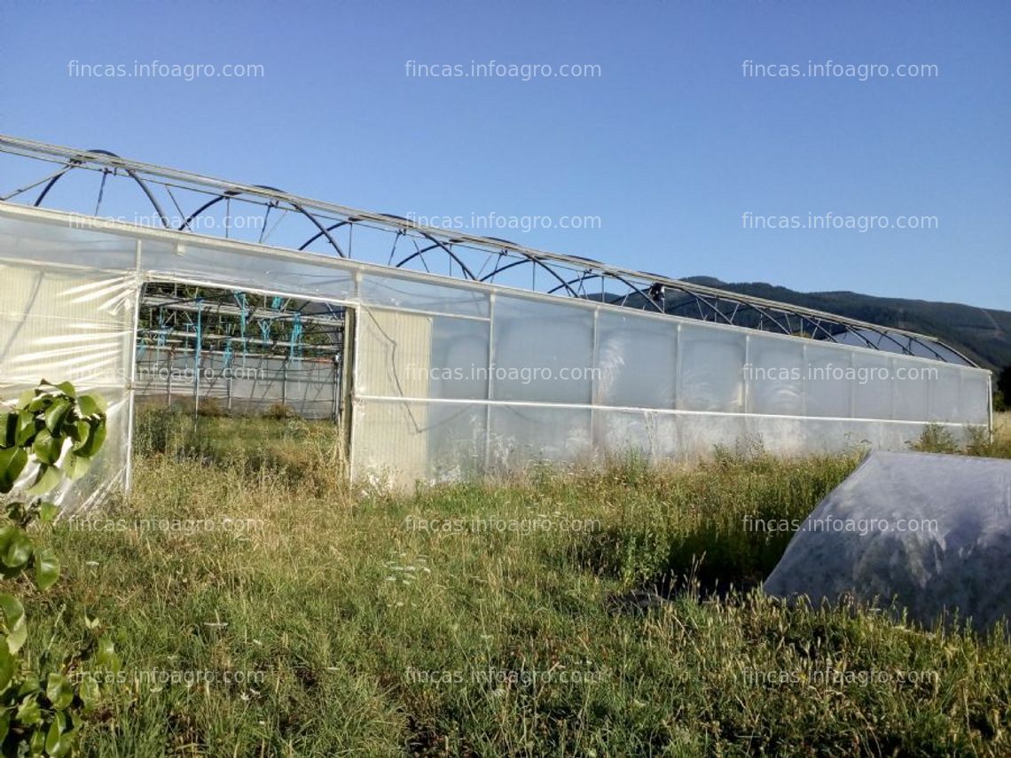 Fotos de Se vende invernadero ulma, 720 m2 en provincia de león.