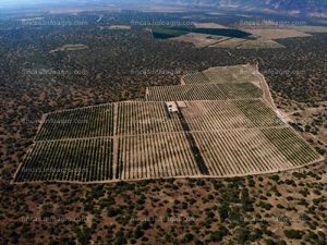 Se vende chacra en el valle de olmos