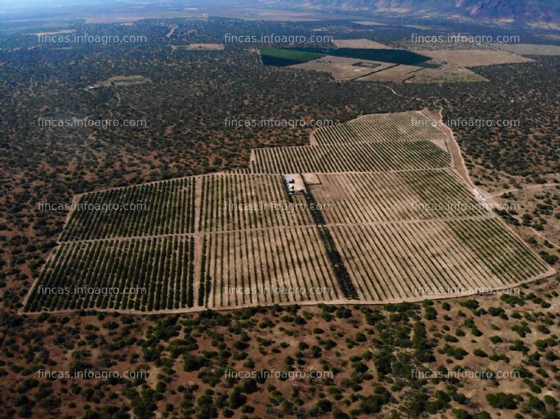 Fotos de Se vende chacra en el valle de olmos
