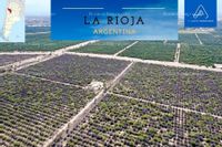 Fotos de En venta  finca de olivos en argentina, provincia de la rioja