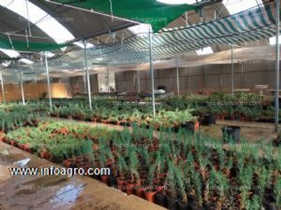 Fotos de A la venta finca de 4 hectáreas con vivero, pozo y 3 casas