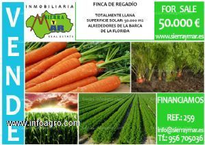 En venta  finca de regadío