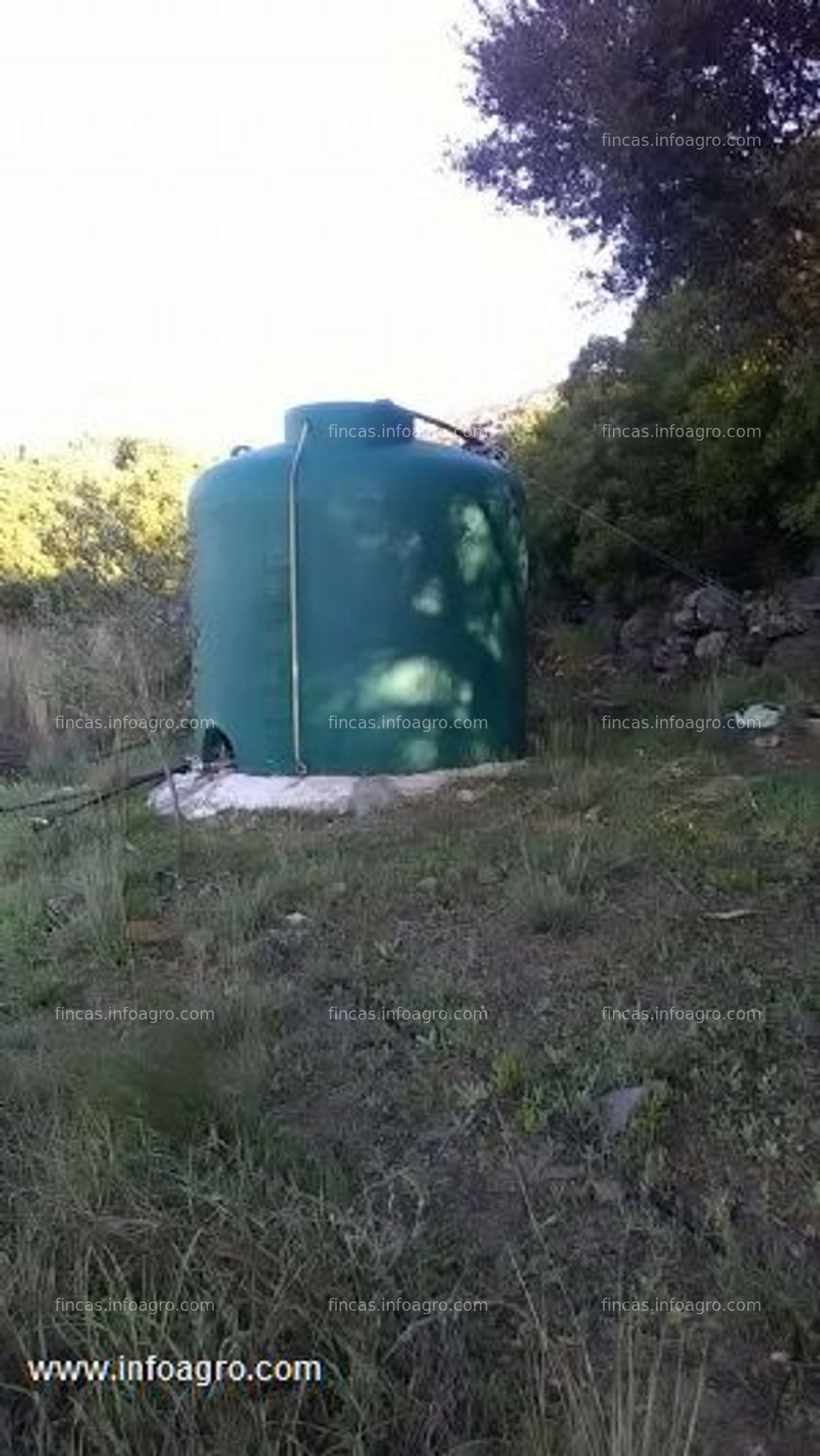 Fotos de Se vende finca rustica en jerez de los caballeros