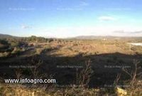 Fotos de En venta  parcela   terreno  industrial
