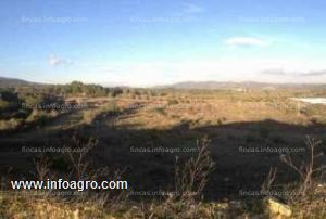 En venta  parcela   terreno  industrial