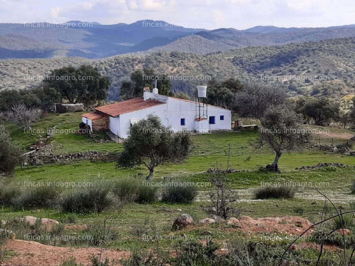 Fotos de En venta  finca en aroche (huelva)