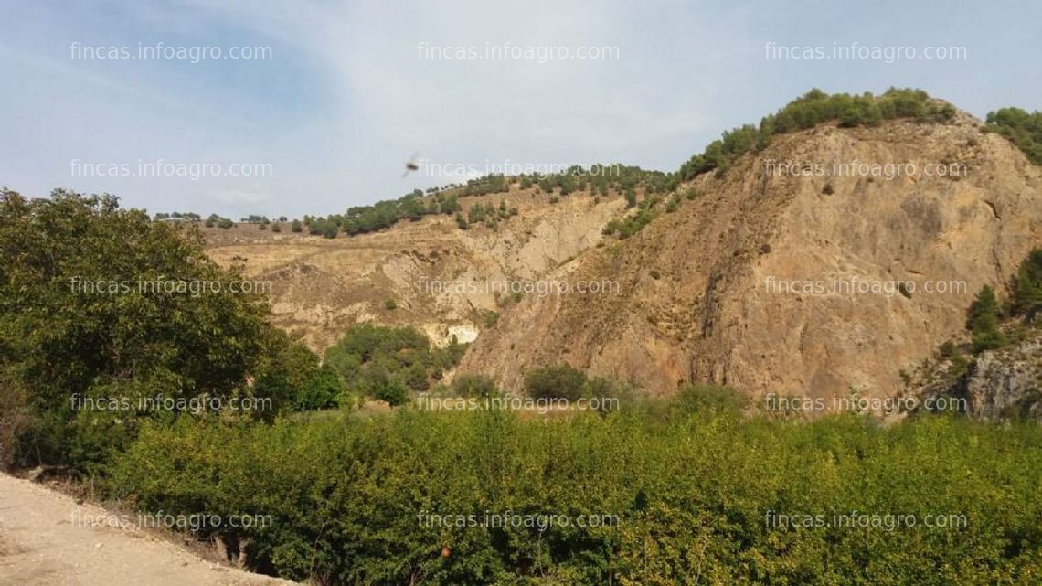 Fotos de Se vende finca de granados en cónchar (valle de lecrín) con vistas paradisiacas