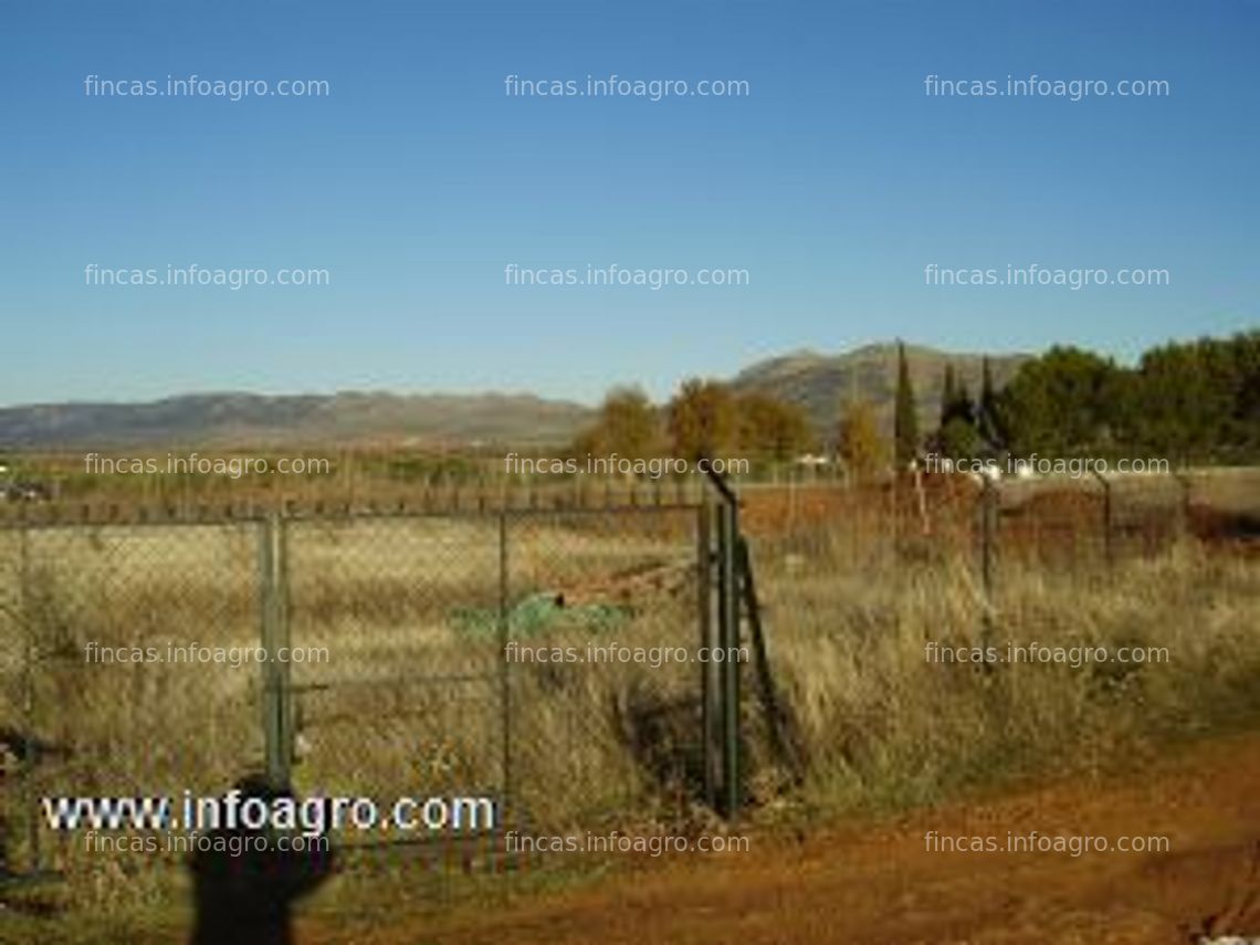 Fotos de A la venta finca rustica entre fernancaballero y malagón