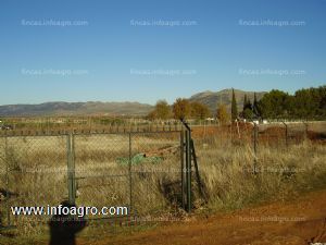 A la venta finca rustica entre fernancaballero y malagón