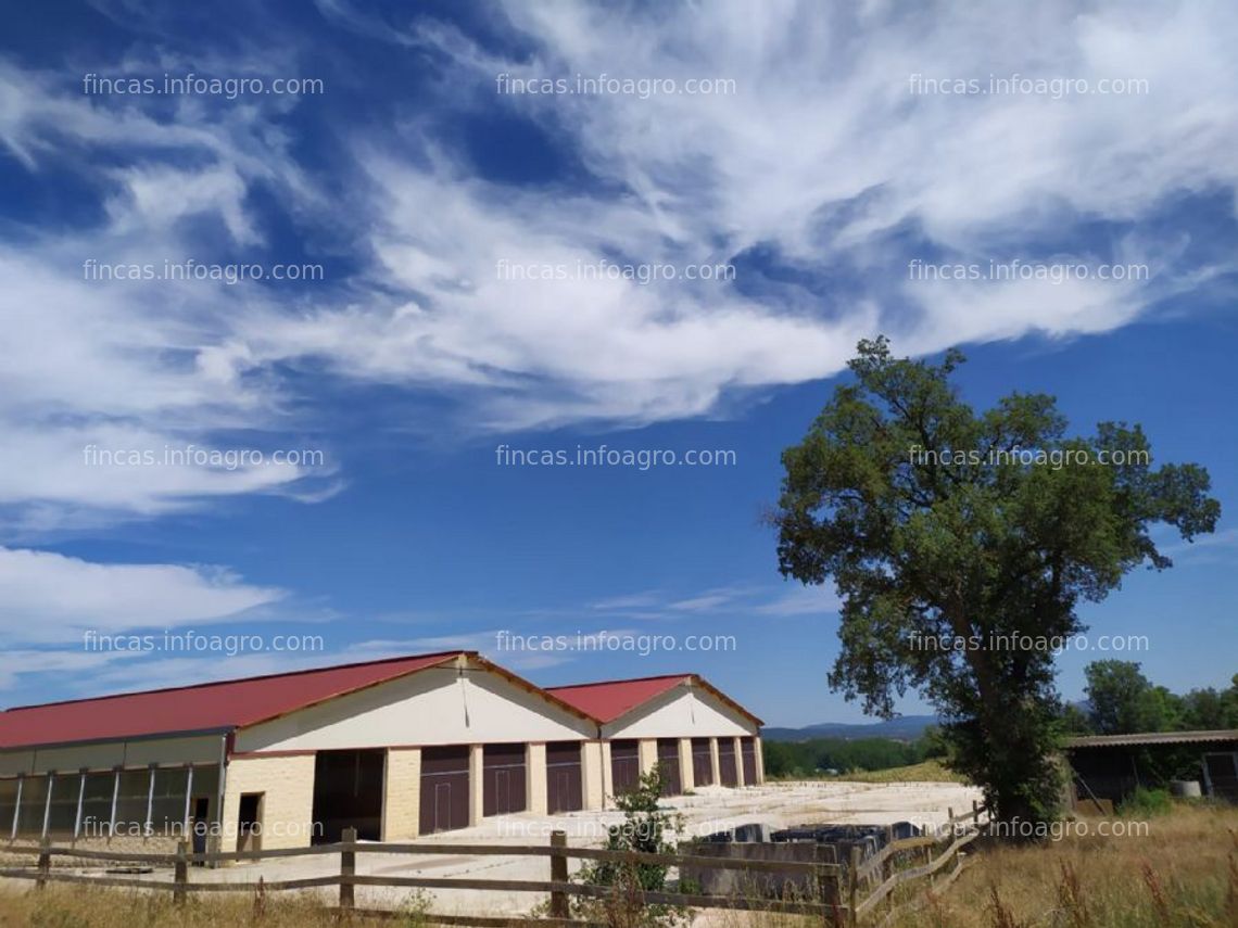 Fotos de A la venta explotación agrícola-ganadera y fábrica de quesos en finca de 15 ha