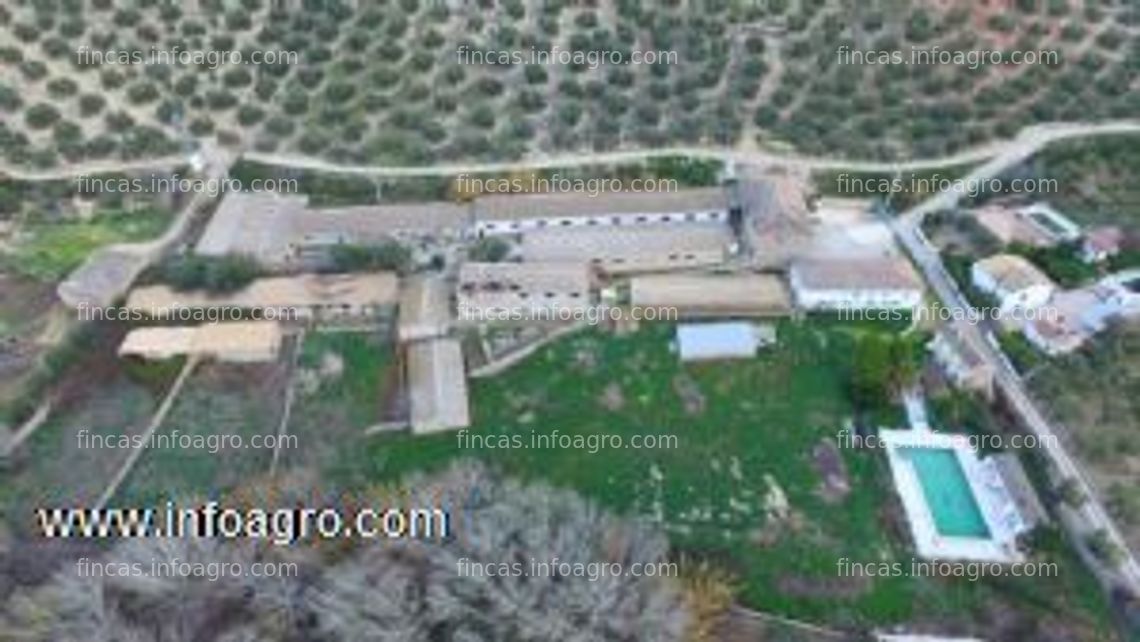 Fotos de Se vende o alquila opción compra, finca con tres viviendas, terreno, naves en jaén