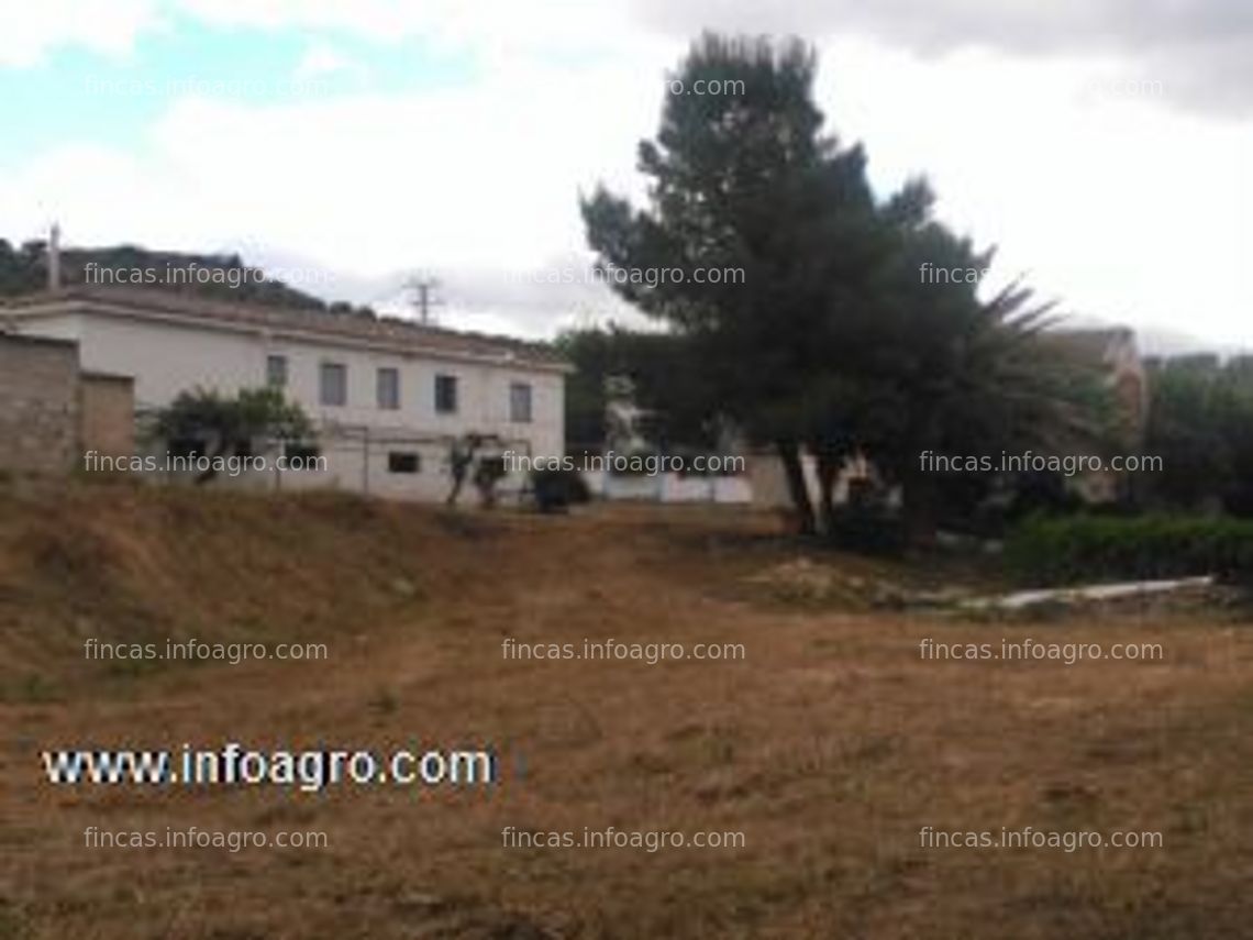 Fotos de Se vende o alquila opción compra, finca con tres viviendas, terreno, naves en jaén