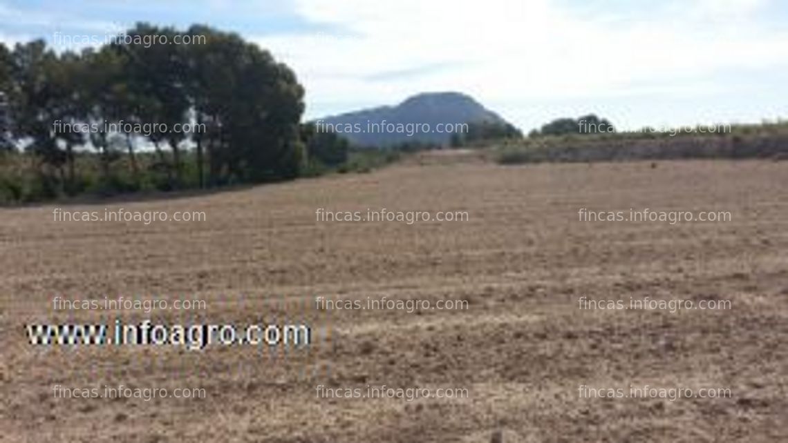 Fotos de Se vende terreno de 3,3 ha en alicante