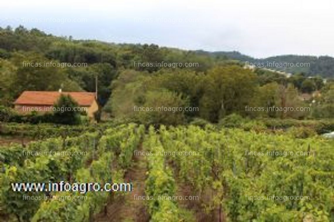 Fotos de Se vende finca rústica