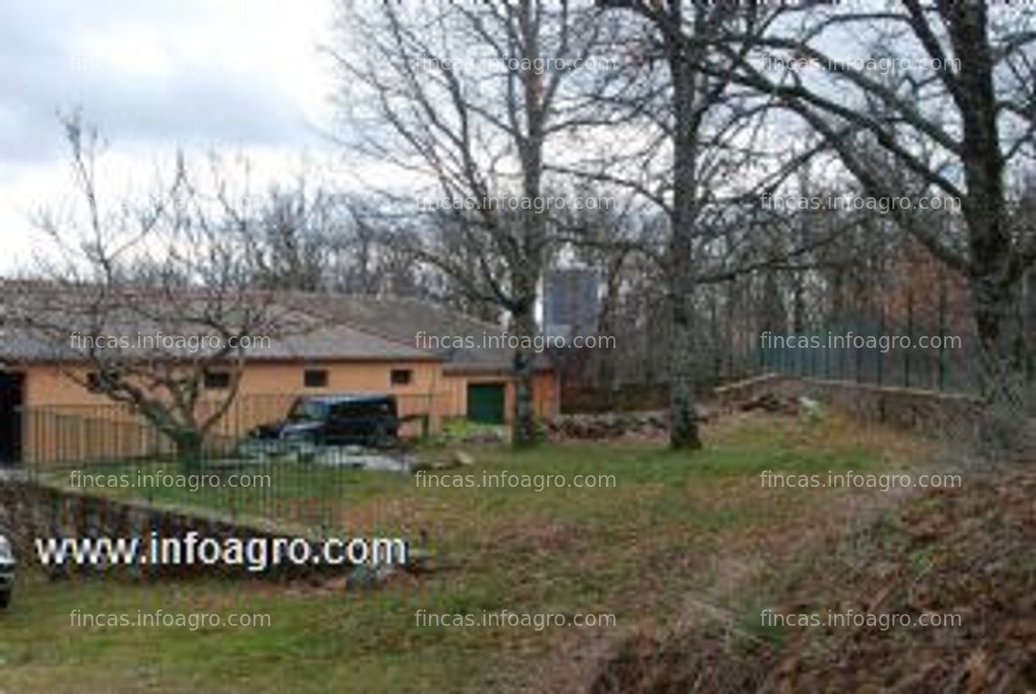 Fotos de A la venta granja de gallinas para producción de huevos ecológicos en la comunidad de madrid