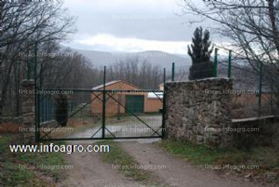 Fotos de A la venta granja de gallinas para producción de huevos ecológicos en la comunidad de madrid