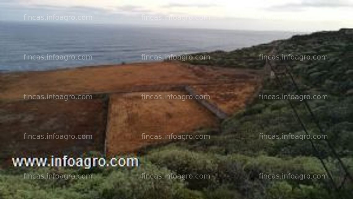 Fotos de En venta  finca rústica de 9 has que linda con el mar