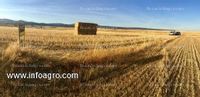 Fotos de A la venta finca rústica en blacha, ávila