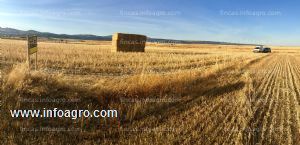 A la venta finca rústica en blacha, ávila