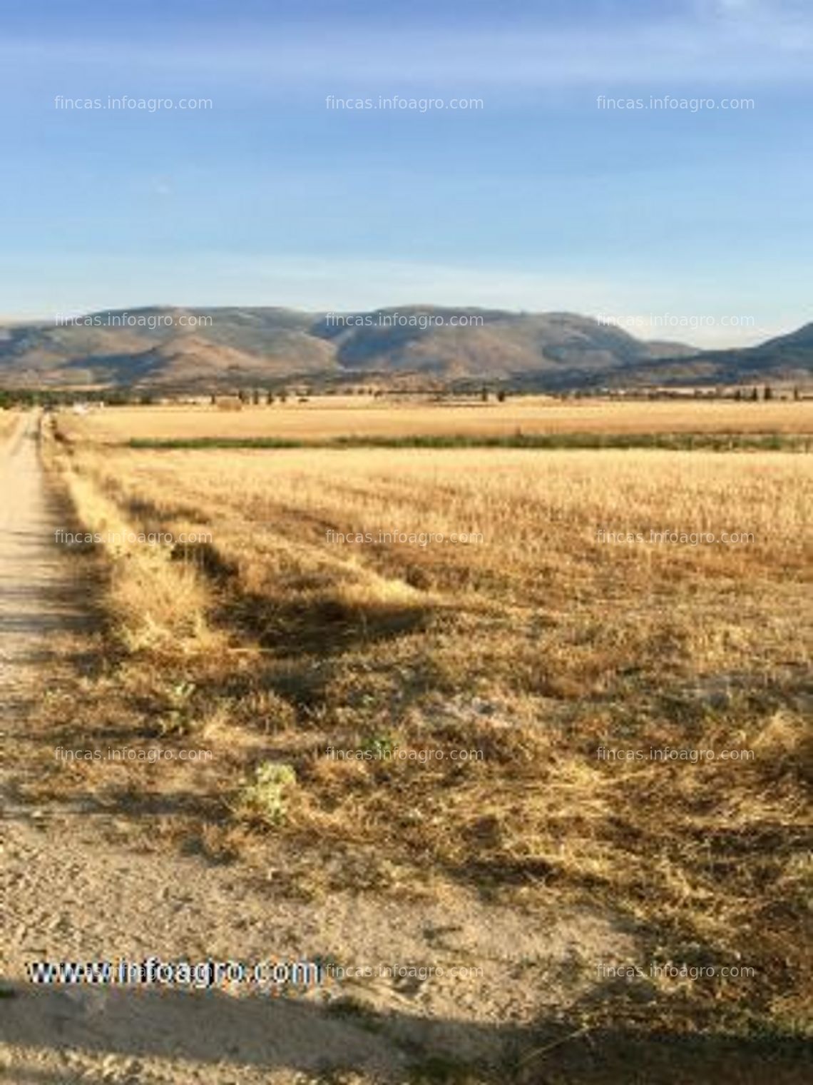 Fotos de A la venta finca rústica en blacha, ávila