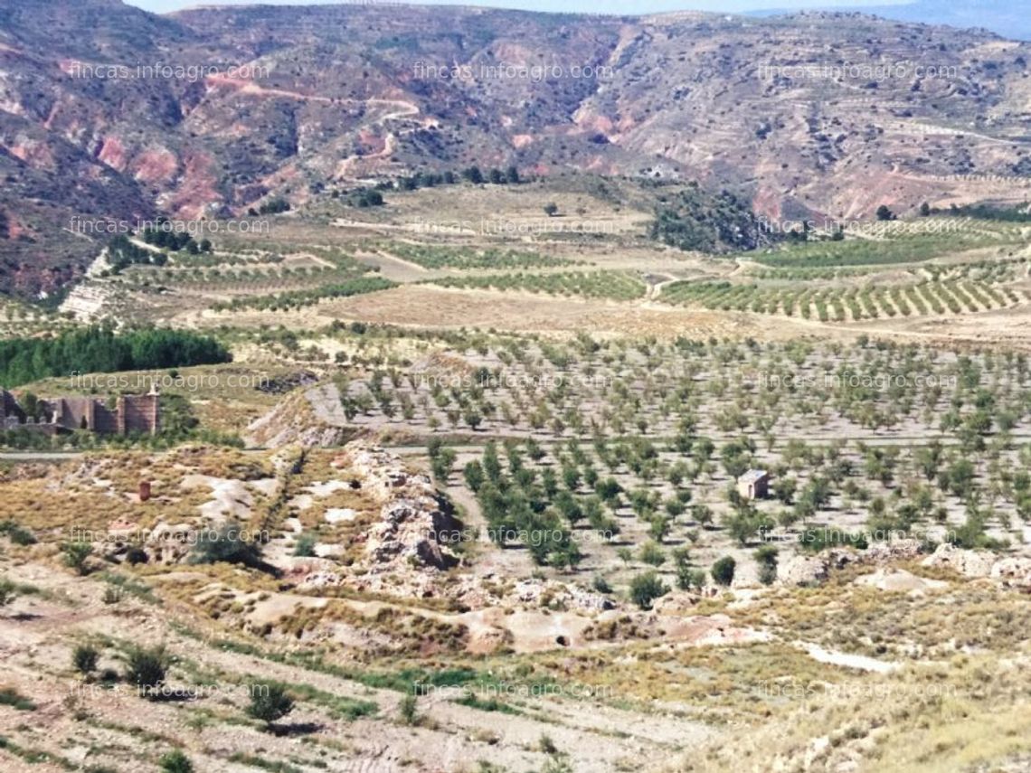 Fotos de Se vende plantacion de almendros en libros, teruel