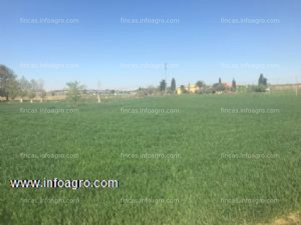 Fotos de En venta  terreno de regadio en plena huerta de zaragoza