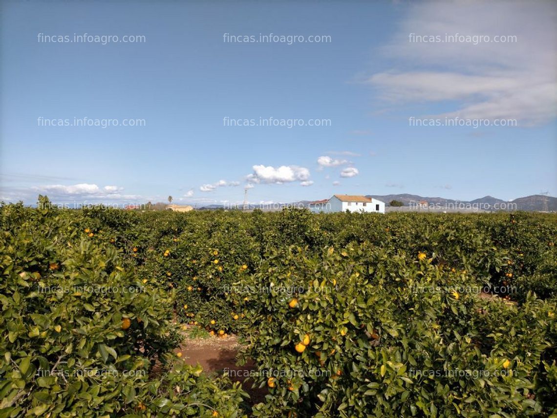 Fotos de En venta  finca en bétera pla de andanes