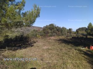 Vendo terreno rústico en llosa de camacho (alicante)