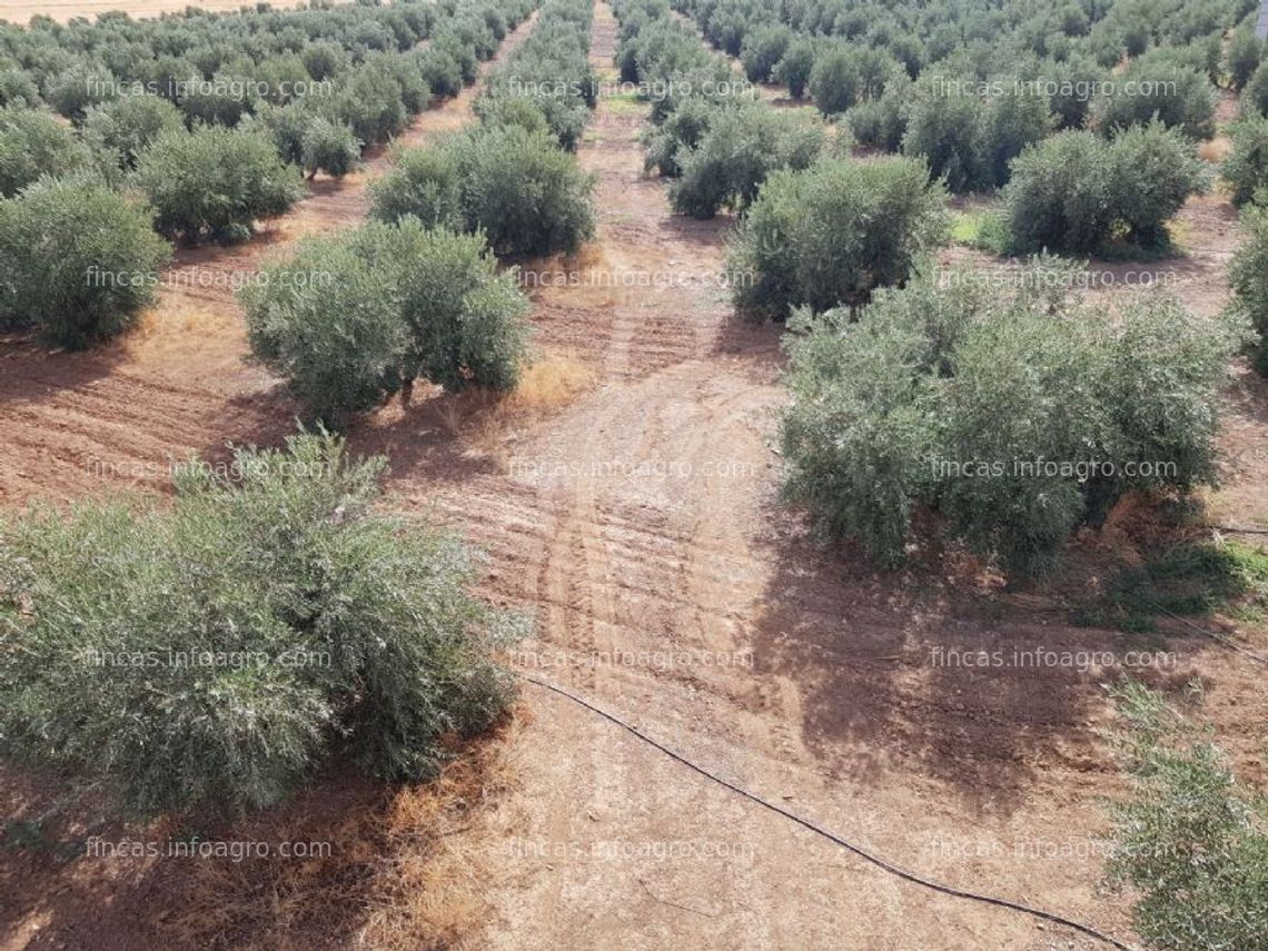 Fotos de Se vende finca complejo rustico,ganadero, agricola y de recreo