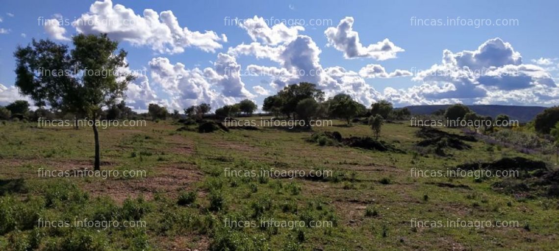 Fotos de Se vende cedemos 40 hectaresd region 103 para activar derechos pac.