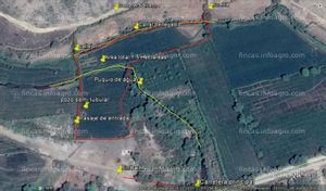 En venta dos terrenos agrícolas en chulucanas, piura