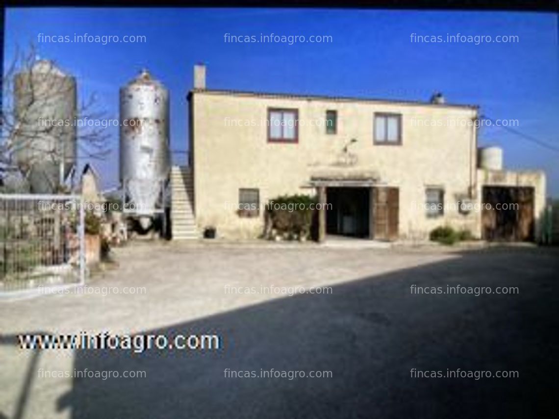 Fotos de A la venta 20.000m2 granja de gallinas ponedoras con vivienda.