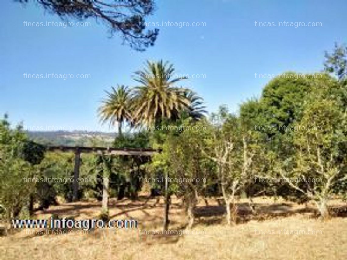 Fotos de Se vende maravillosa finca amurallada