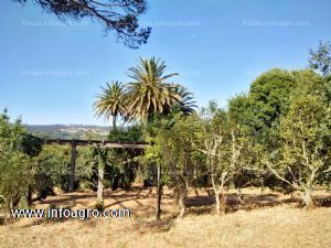 Se vende maravillosa finca amurallada