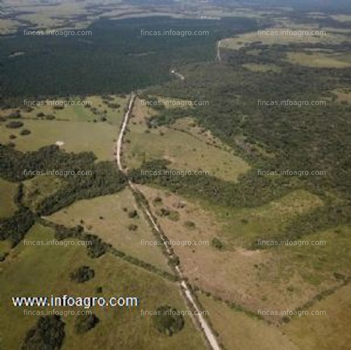 Fotos de A la venta 102 ha de tierra agrícola en cabuyaro, colombia