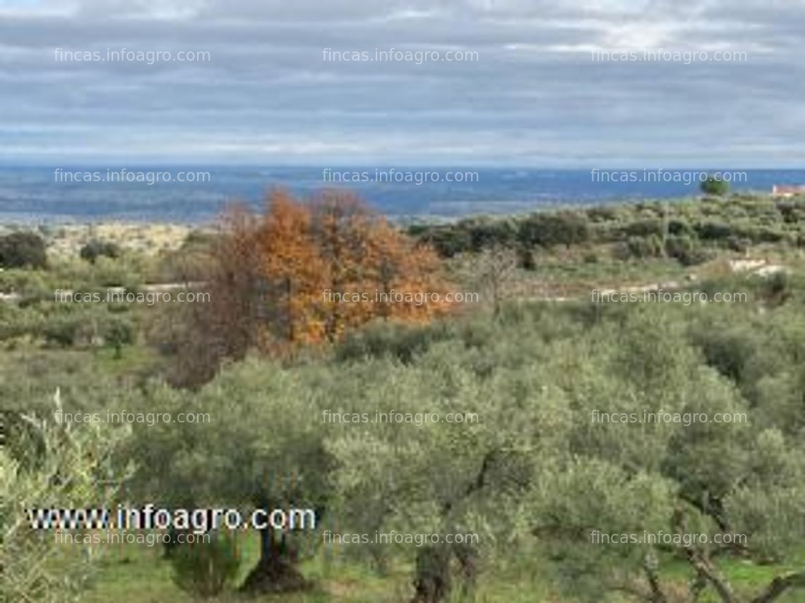 Fotos de A la venta finca rústica