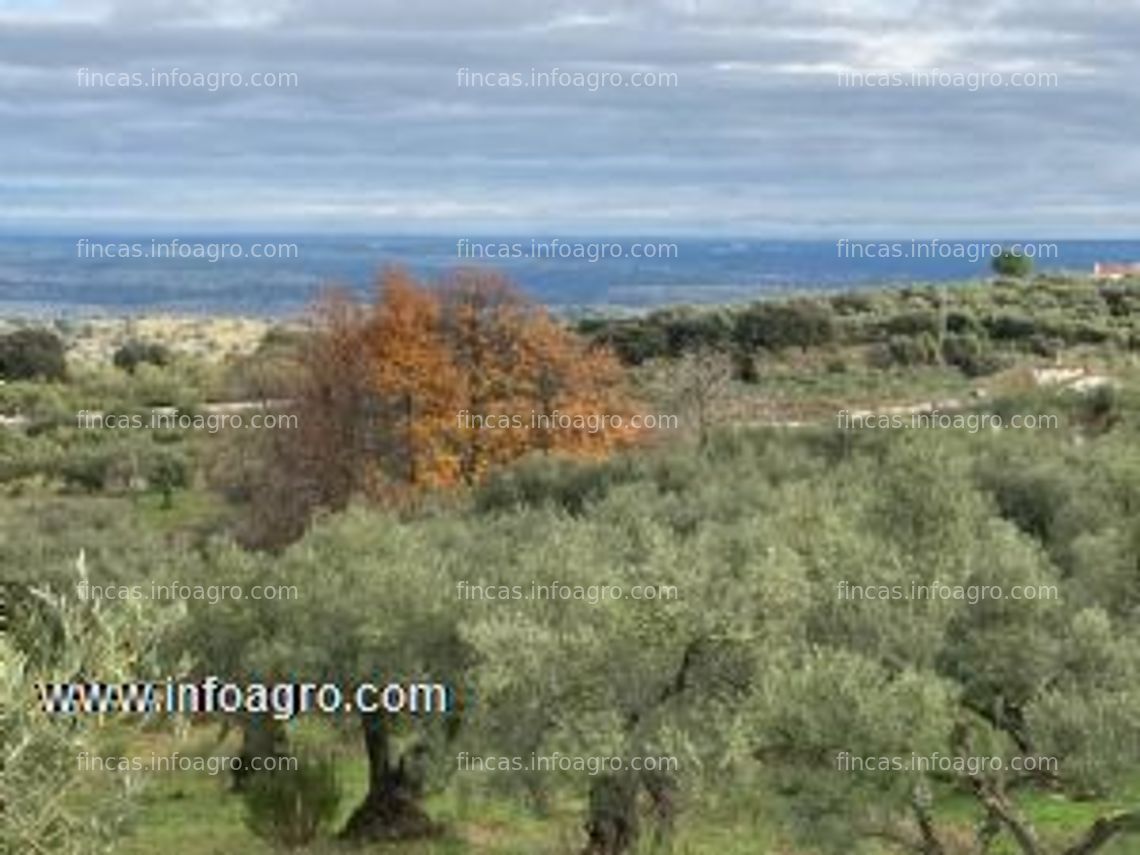 Fotos de A la venta finca rústica