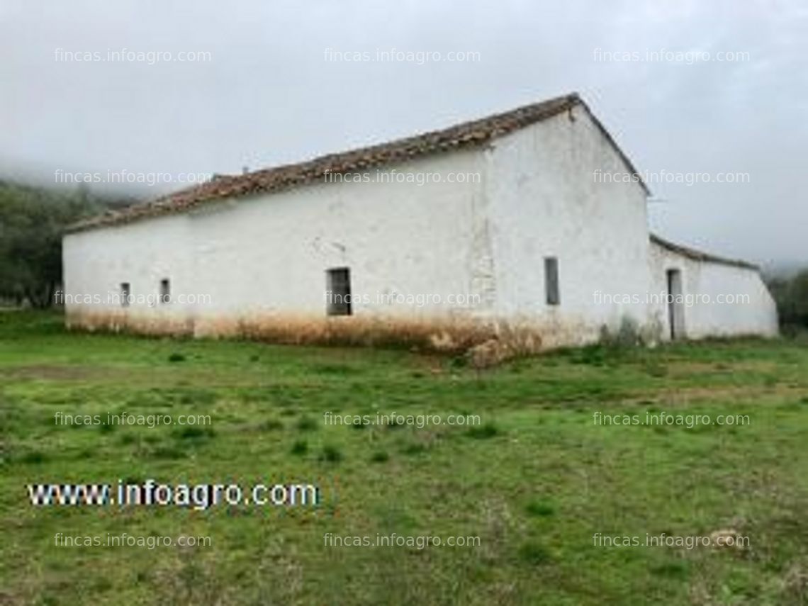 Fotos de A la venta finca rústica