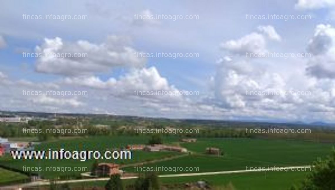 Fotos de A la venta finca de recreo "el parque del duque"