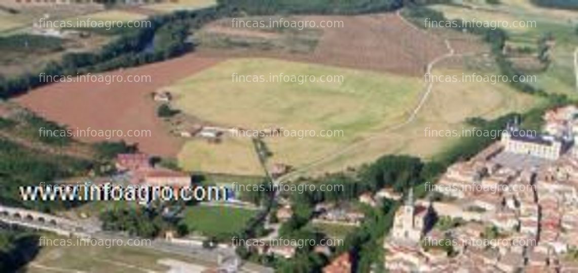 Fotos de A la venta finca de recreo "el parque del duque"