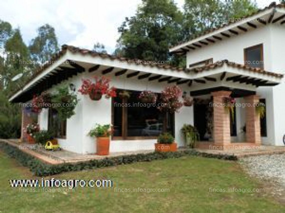 Fotos de En venta  finca ganadera, cafetera, aguacate hass, temperaderos, lotes y otros. caldas, risaralda, valle. 321 770 30 15