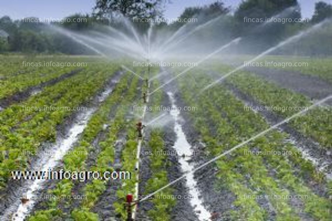 Fotos de Compro fincas de regadio en leon zona payuelos