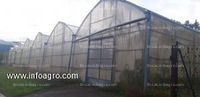 Fotos de En venta  dos invernaderos en la agroaldea de asteasu de 4. 256 y 3. 500 m2. equipados para cultivo de tomate