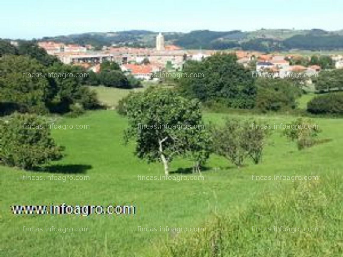 Fotos de En venta  finca  en ajo bareyo (cantabria) edificable