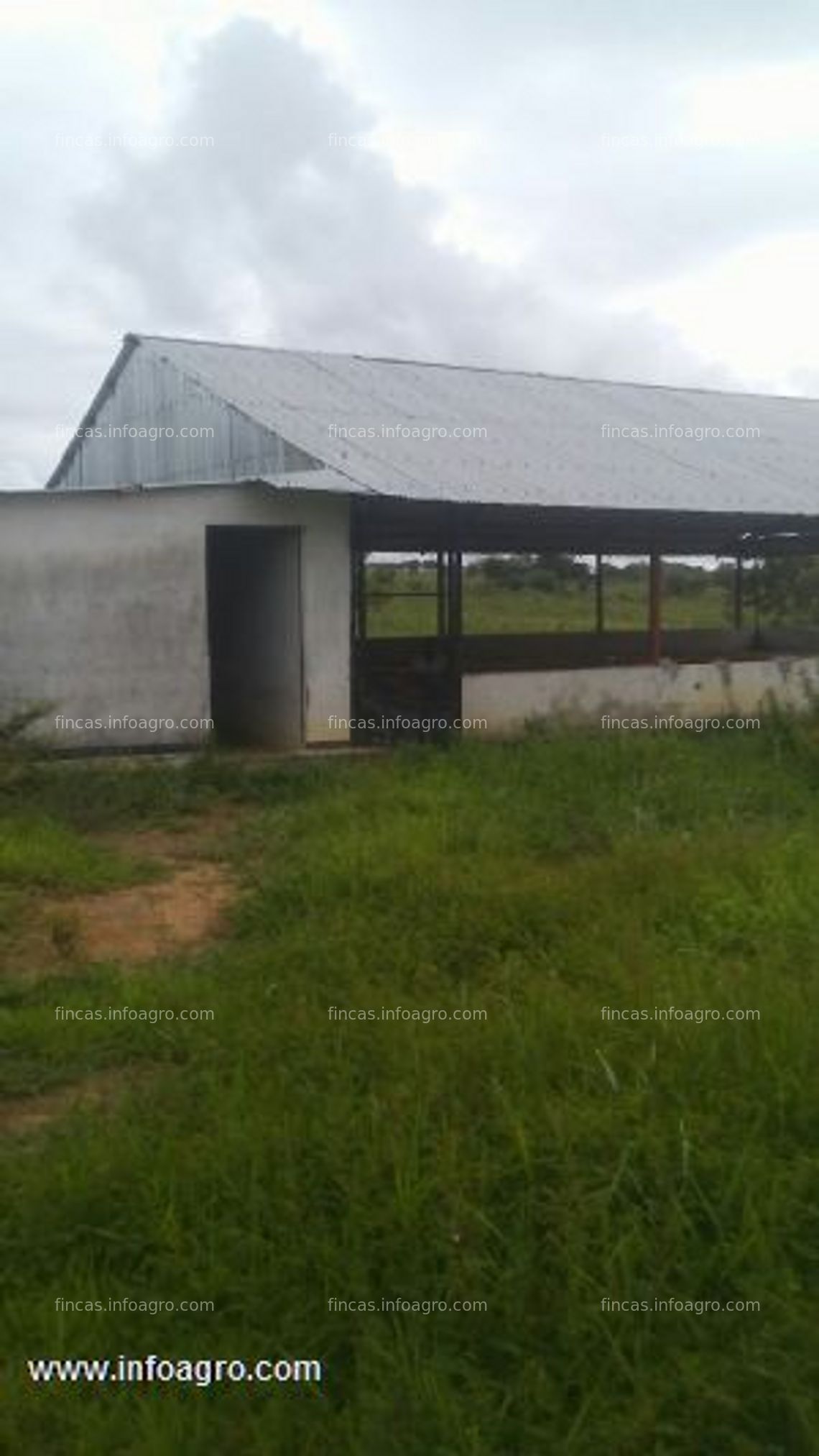 Fotos de En venta  granja de 6 hectáreas barinas-venezuela