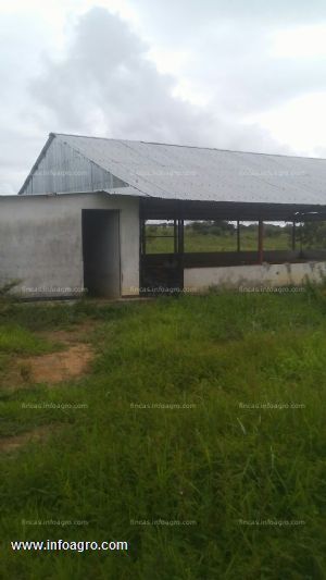 En venta granja de 6 hectáreas barinas-venezuela
