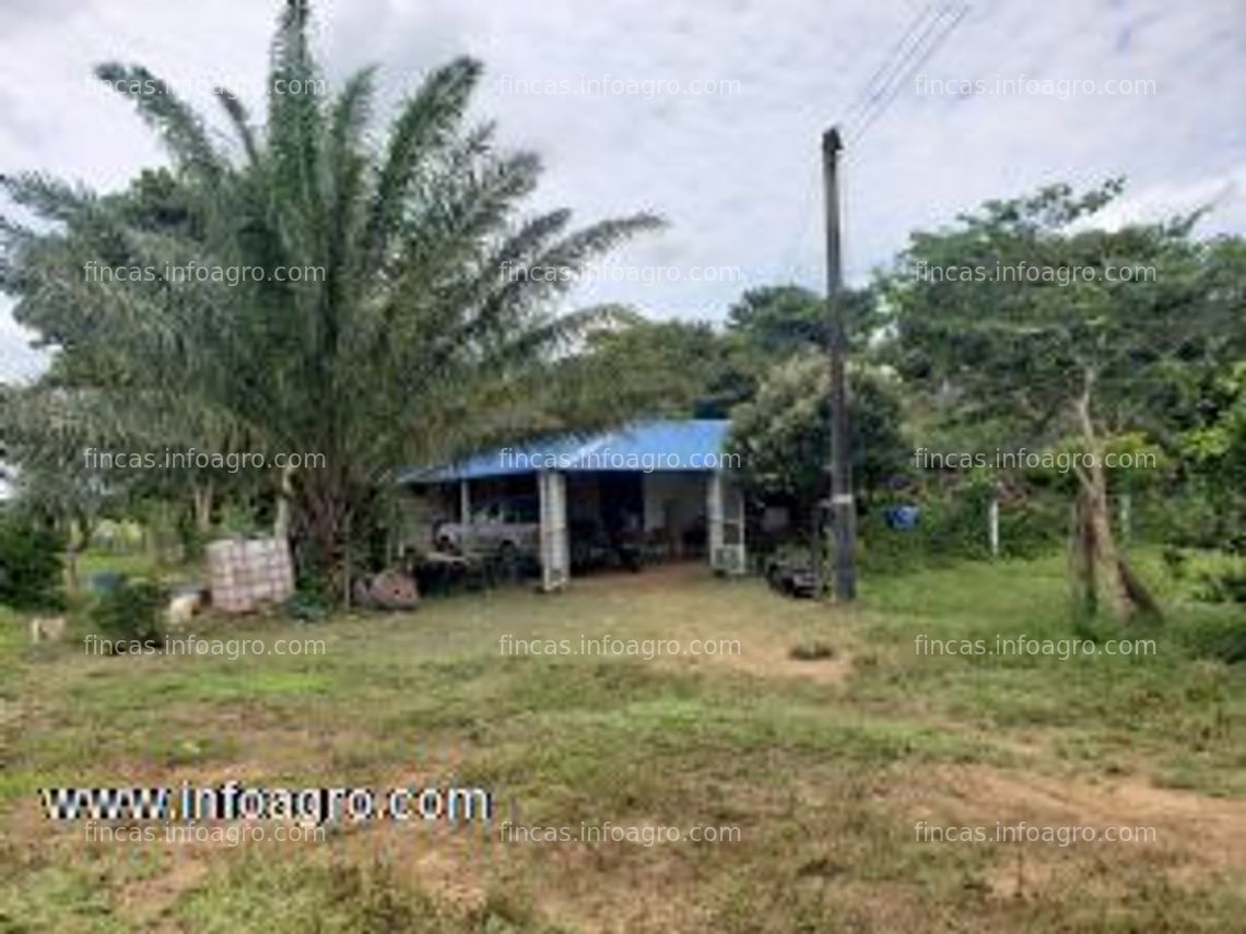 Fotos de En venta  hermosa finca